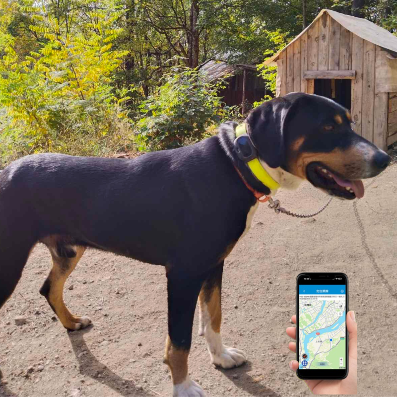 4G Pet GPS Tracker
